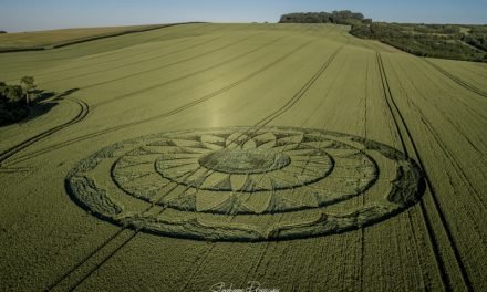 2020 Circles: Smeathe’s Plantation, Nr Ogborne St George, Wiltshire
