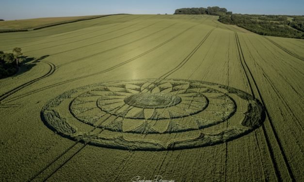 2020 Circles: Smeathe’s Plantation, Nr Ogborne St George, Wiltshire