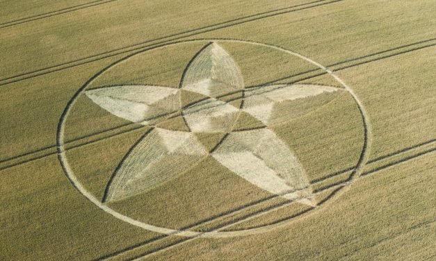 2020 Circles: Scrubbs Lane, Bishops Sutton, Hampshire