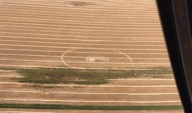 2020 Circles: Broad Hinton, Wiltshire