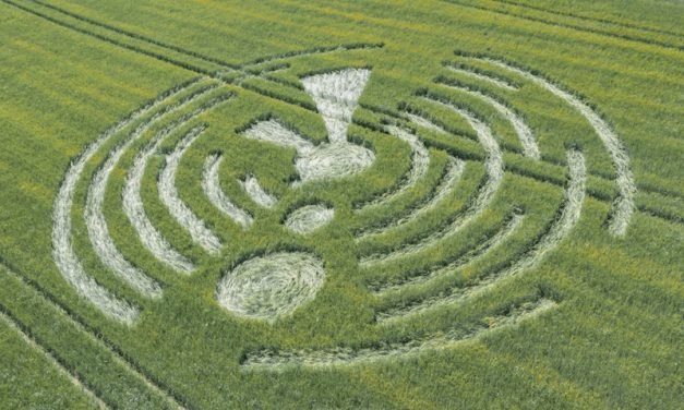 2020 Circles: Cley Hill, Warminster, Wiltshire