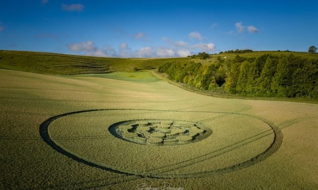 2020 Circles: Easton Clump, Nr Easton Royal, Wiltshire
