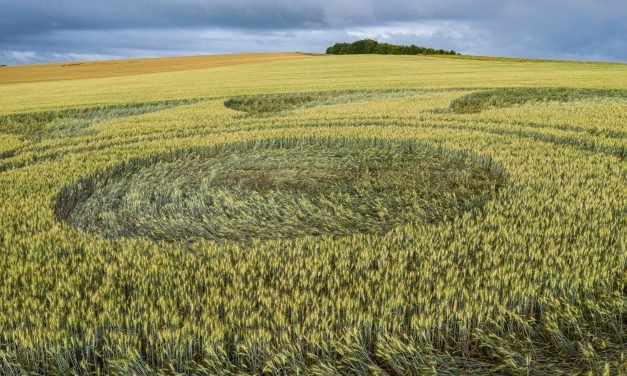 2020 Circles: Etchilhampton (2), Wiltshire