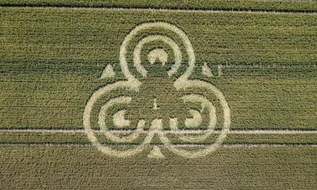 2020 Circles: Hapsford Quarry, Frome, Somerset