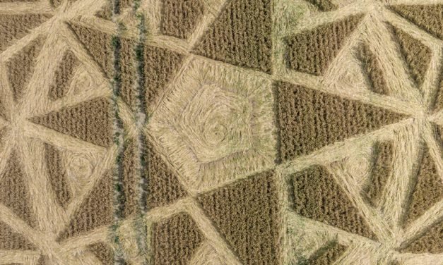 2020 Circles: The Ridgeway, Hackpen Hill, Wiltshire