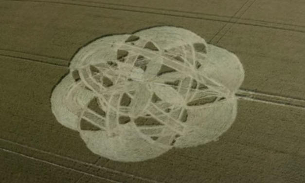 2020 Circles: West Knoyle, Wiltshire