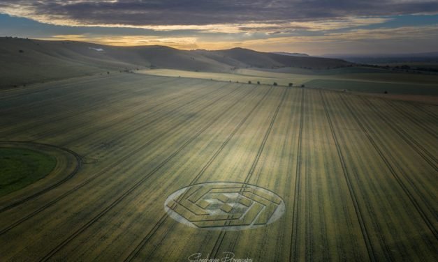 2020 Circles: Stanton St Bernard, Wiltshire