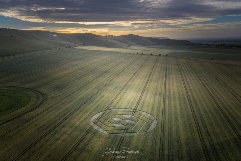 2020 Circles: Stanton St Bernard, Wiltshire