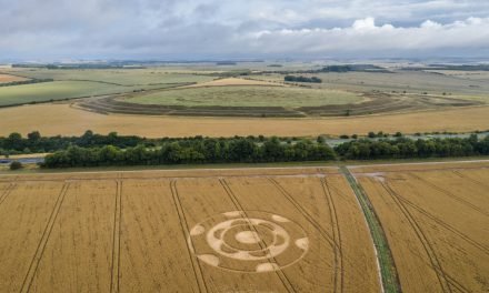 2020 Circles: Yarnbury Castle, Wiltshire