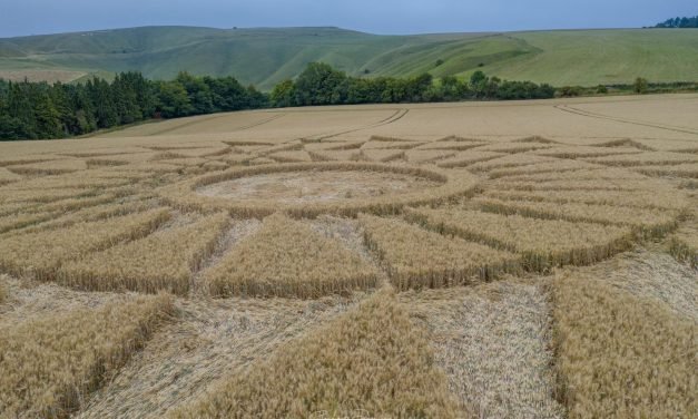 2020 Circles: Woolstone Wells, Uffington Castle, Oxfordshire