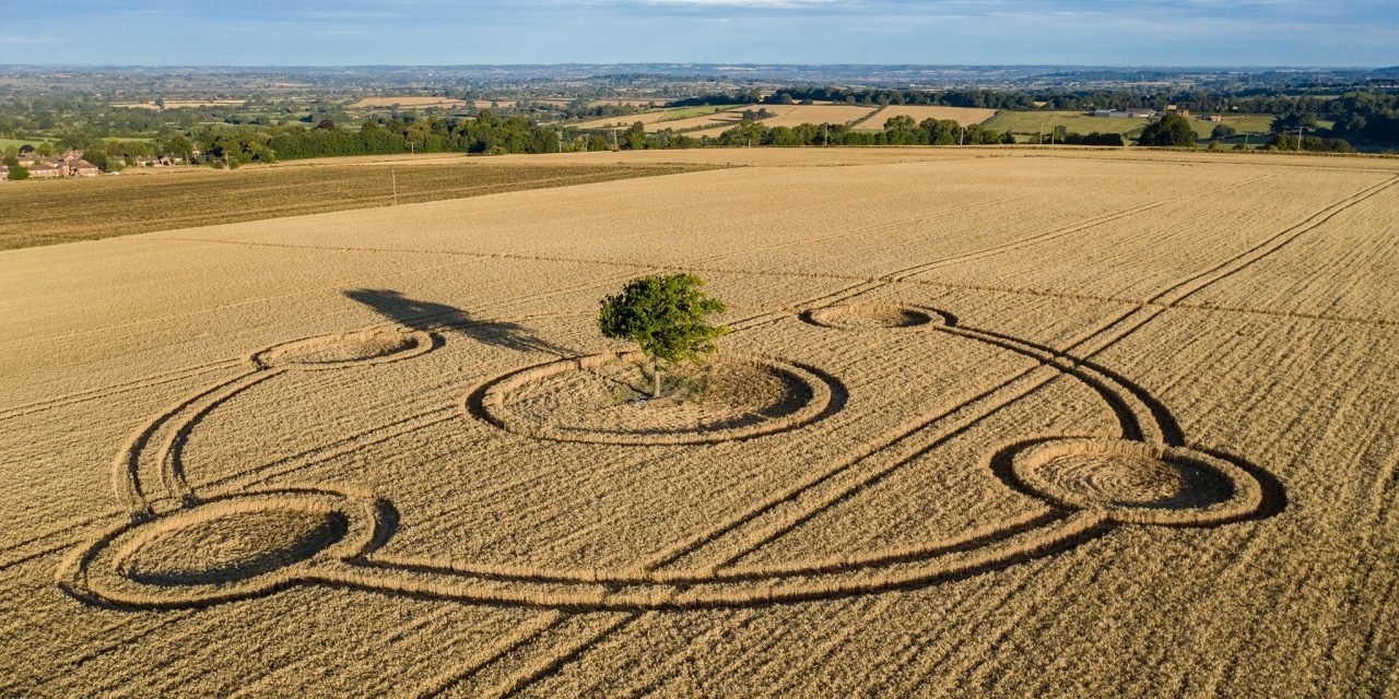 2020 Circles: Potterne (2), Wiltshire