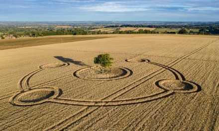 2020 Circles: Potterne (2), Wiltshire