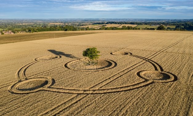 2020 Circles: Potterne (2), Wiltshire
