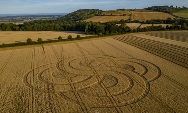 2020 Circles: Roundway, nr Devizes