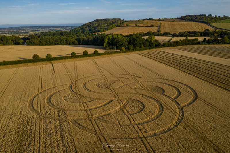 2020 Circles: Roundway, nr Devizes