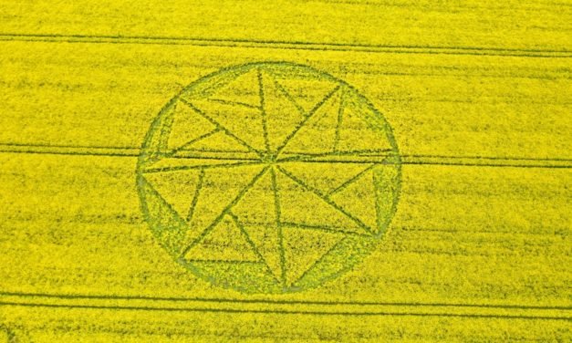 2021 Circles: Stanton St Bernard, Wiltshire