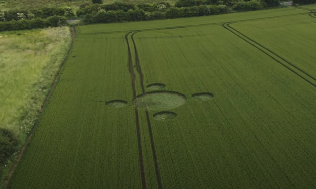 2021 Circles: Long Lane, Whiston, Nr Rotherham, South Yorkshire