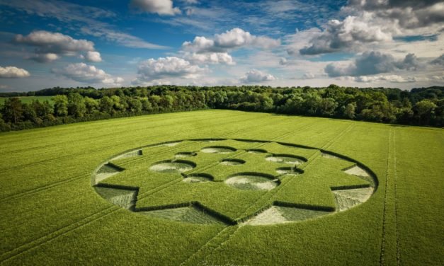 2021 Circles: Crawley Down, Nr Winchester, Hampshire