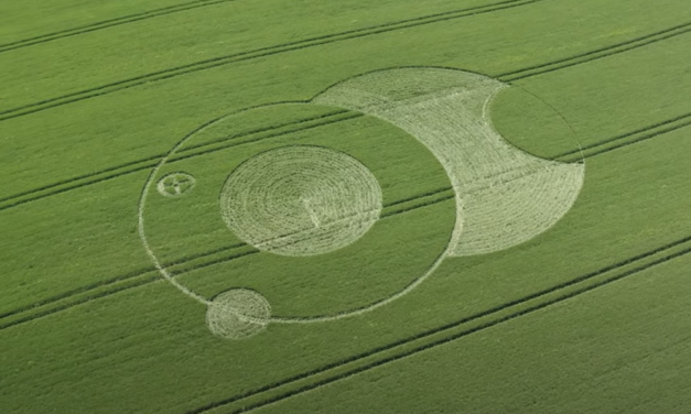 2021 Circles: Mud Lane (Forest Road), Nr Wootton Rivers, Wiltshire