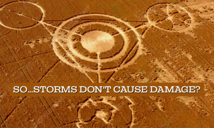 Storm Damage: It Never Happens?