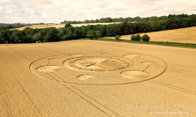 2021 Circles: Spiers Lane, Alresford, Hampshire