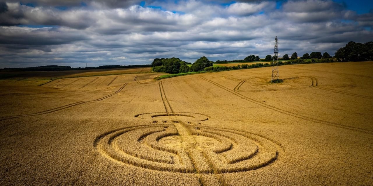 2021 Circles: Watership Down, Nr Ashley Warren, Hampshire