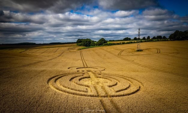 2021 Circles: Watership Down, Nr Ashley Warren, Hampshire