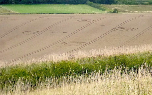 2021 Circles: Wilmington Long Man, East Sussex