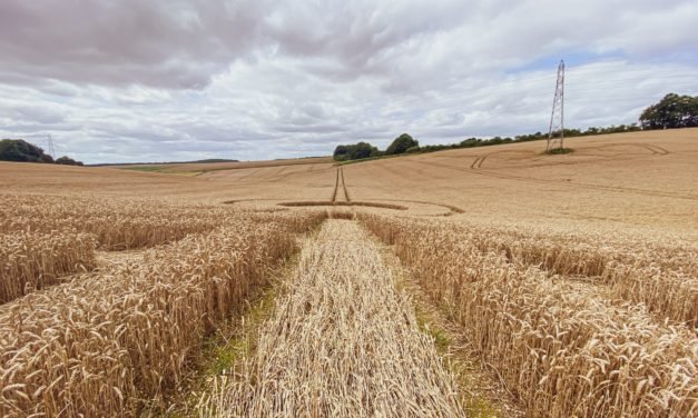 2021 Circles: Watership Down Groundshots