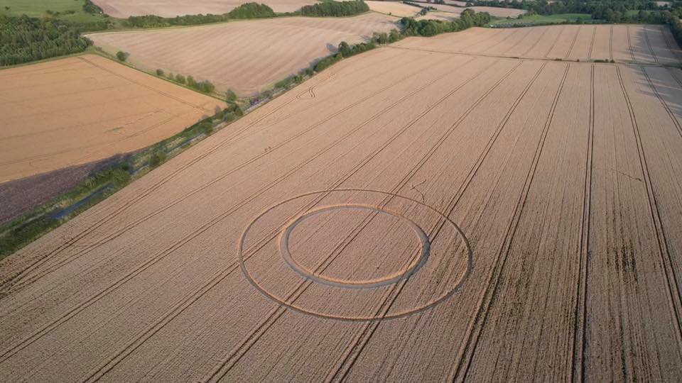 2021 Circles: Marten, Nr. Burbage, Wiltshire