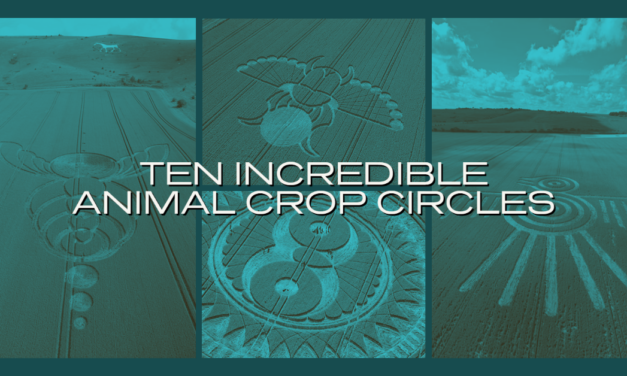 Ten Incredible Animal Crop Circles