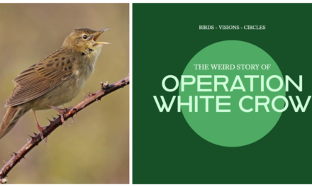 Operation White Crow