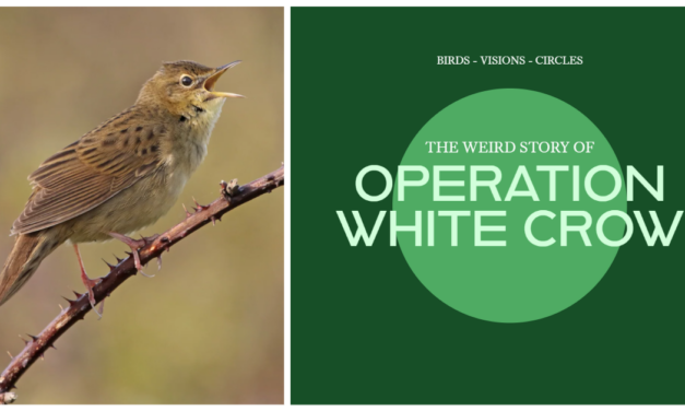 Operation White Crow