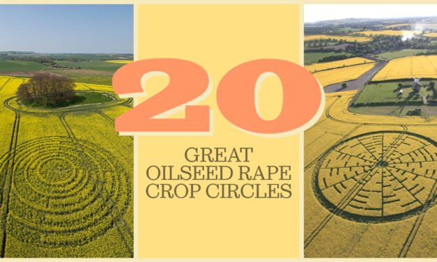 Twenty Great Oilseed Rape Circles