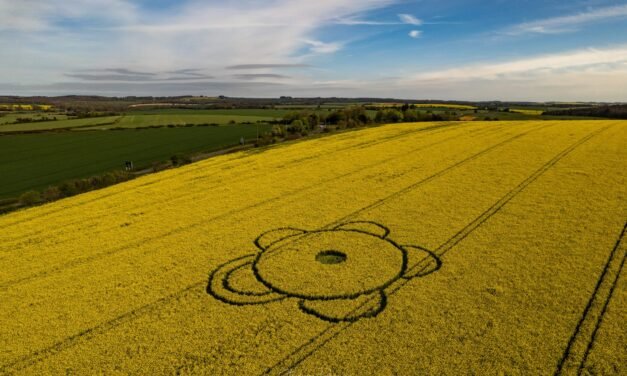 2022 Circles: Sixpenny Handley, Dorset