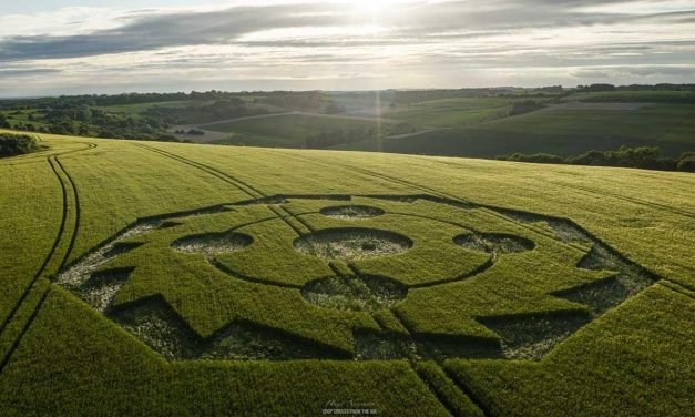 2022 Circles: Little Down, Chute Causeway, Wiltshire