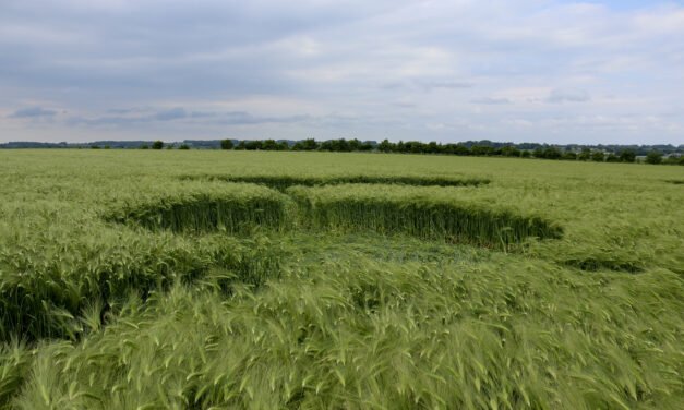 2022 Circles: Owl House (Hackpen Hill) Groundshots