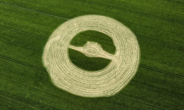 2022 Circles: Stanton St Bernard, Wiltshire