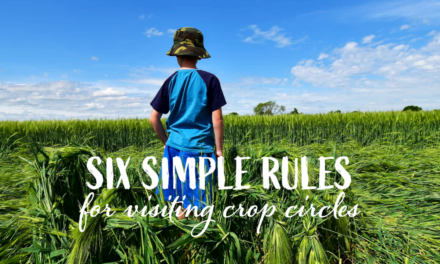 Dear Croppie: What Are The Rules For Visiting A Crop Circle?