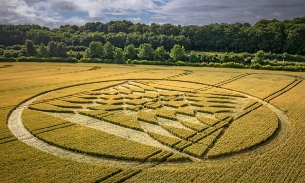 2022 Circles: Kiteland Cottages, nr Micheldever Station, Hampshire