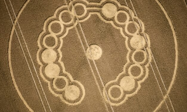 2022 Circles: Pilgrim’s Trail, Twyford Down, Morestead Road, Nr Winchester, Hampshire