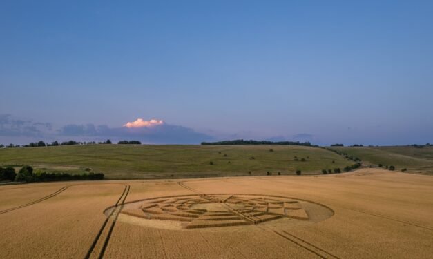 2022 Circles: Barbury Castle (Second Phase), near Wroughton, Wiltshire