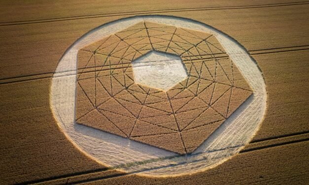 2022 Circles: Barbury Castle, Nr Wroughton, Wiltshire