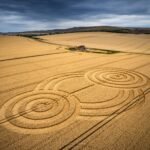 2022 Circles: Tawsmead Copse, West Stowell, Wiltshire