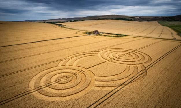 2022 Circles: Tawsmead Copse, West Stowell, Wiltshire