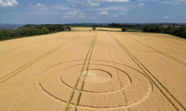 2023 Circles: Hetty Pegler’s Tump, nr Nympsfield, Gloucestershire
