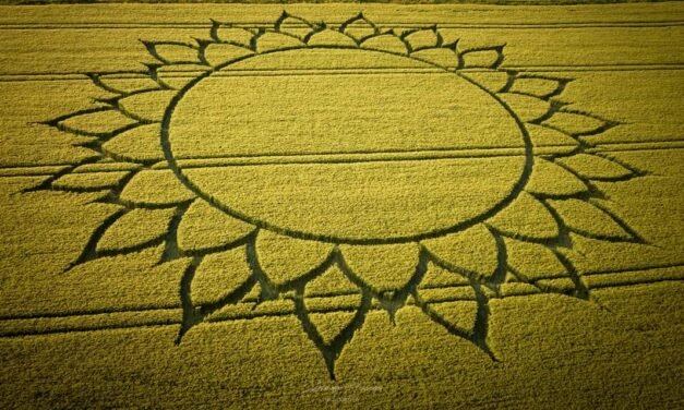 2023 Circles: Potterne, Wiltshire