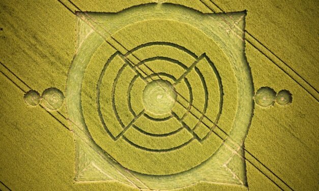 2023 Circles: Furze Knoll, nr Bishops Cannings, Devizes, Wiltshire