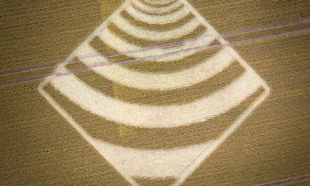 2023 Circles: Chillandham Lane, nr Winchester, Hampshire (1)