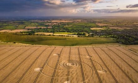 2023 Circles: Combe Hill, Bratton, Wiltshire